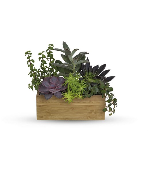 Grow Positive Garden from Rees Flowers & Gifts in Gahanna, OH